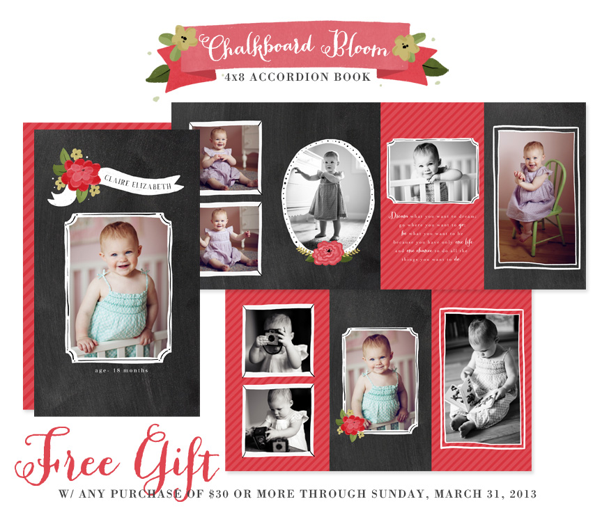 Chalkboard Bloom 4x8 Accordion Book