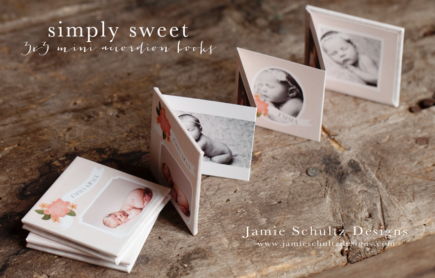 Mini Accordion Book Templates by Jamie Schultz Designs